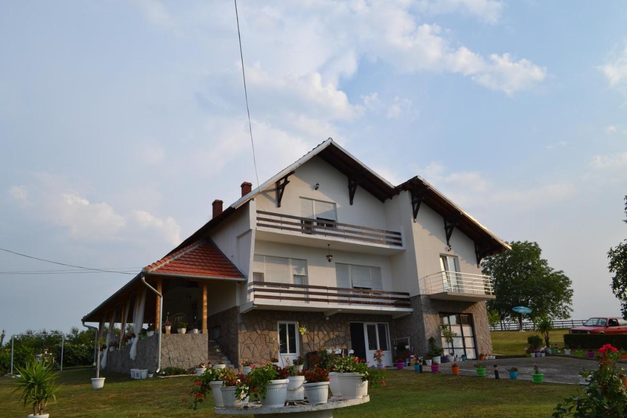 Odmor Na Selu Babajic Daire Ljig Dış mekan fotoğraf