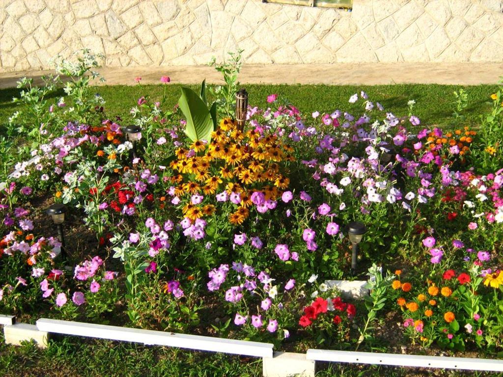 Odmor Na Selu Babajic Daire Ljig Dış mekan fotoğraf